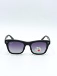 Ray-Ban Wayfarer Polarized Mens Sunglasses